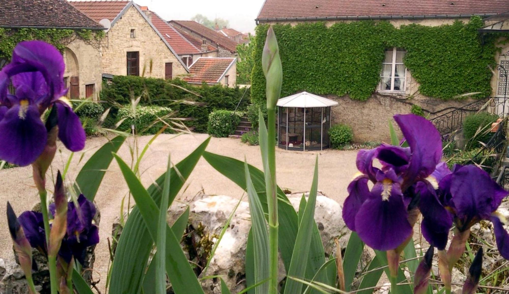 Le Chateau de Prauthoy Extérieur photo